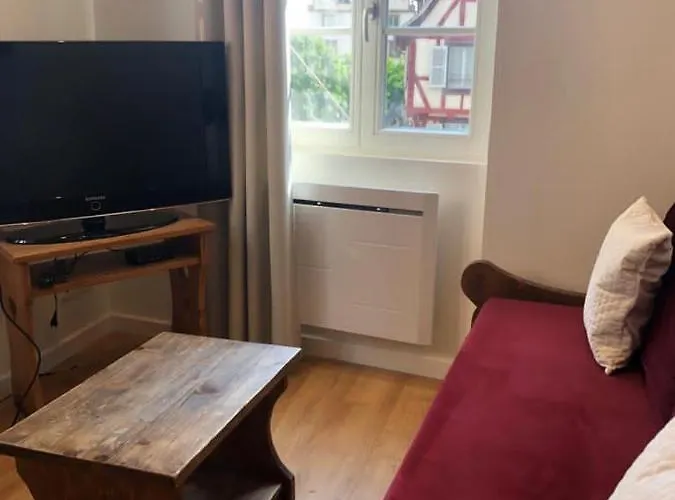 アパート レ アパルトゥマン ドゥ コイフュス コルマール