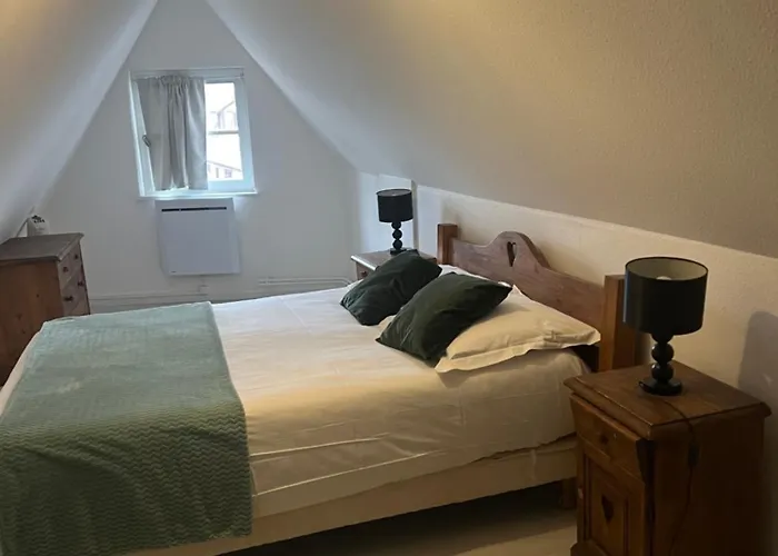 レ アパルトゥマン ドゥ コイフュス アパート コルマール